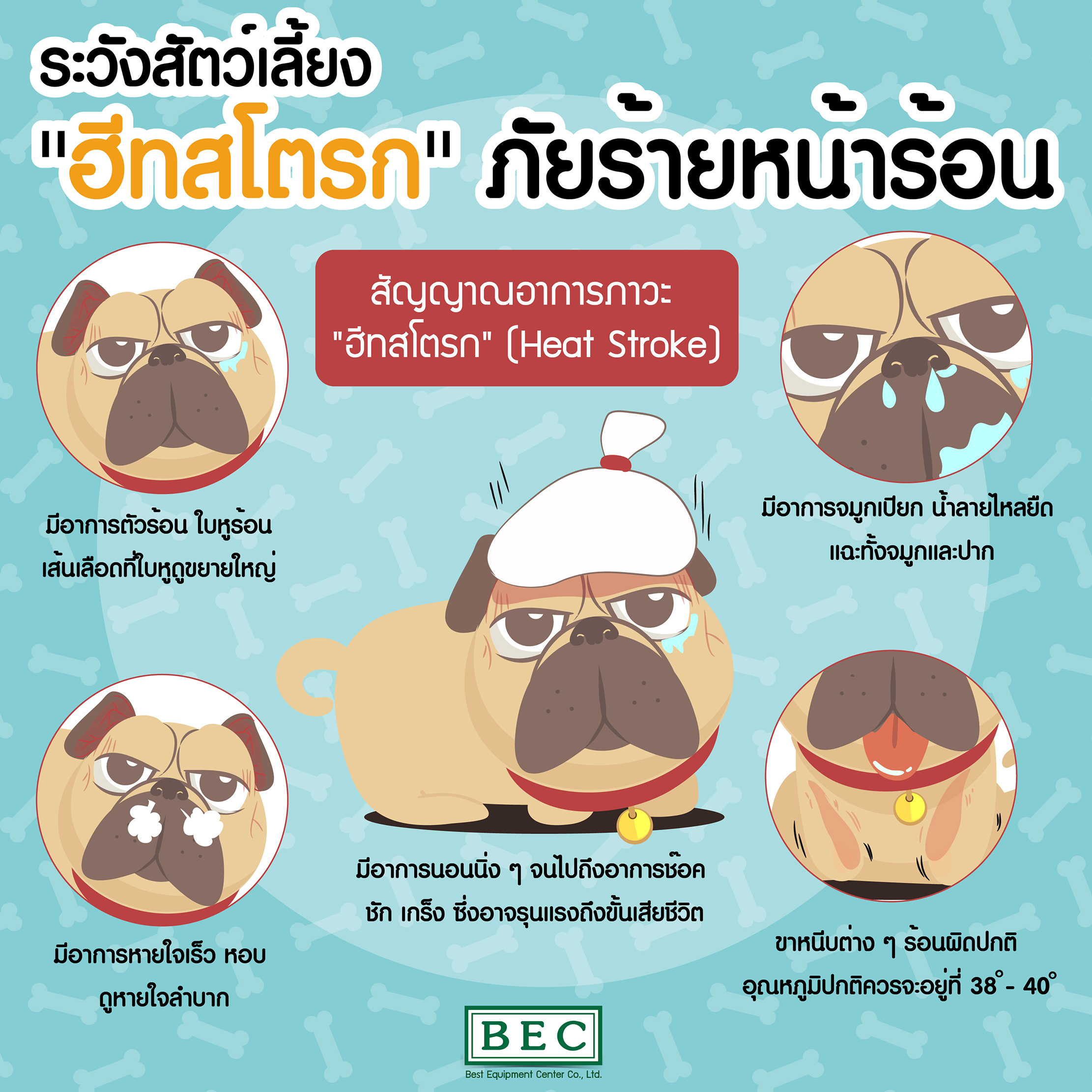 My Image 36
