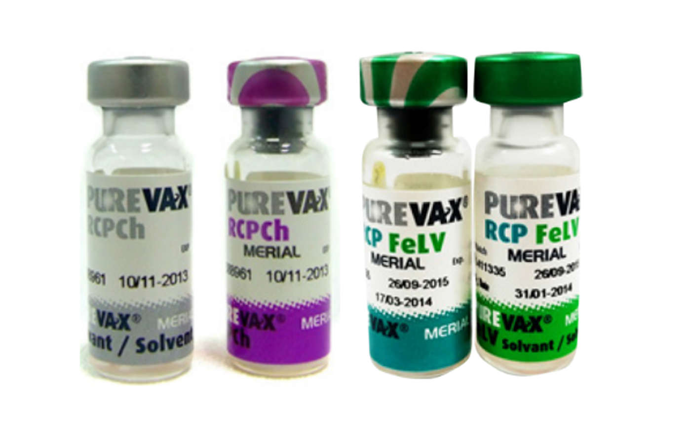 Пуревакс вакцина для кошек отзывы